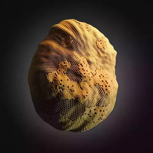 Procedural Beehive