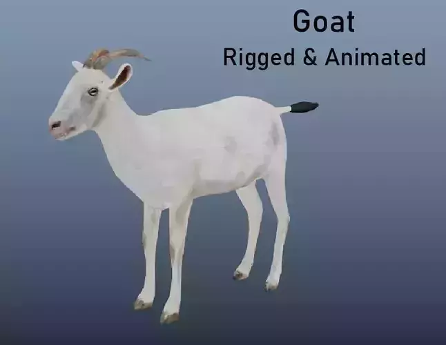 Goat  Animated VFX Grace 