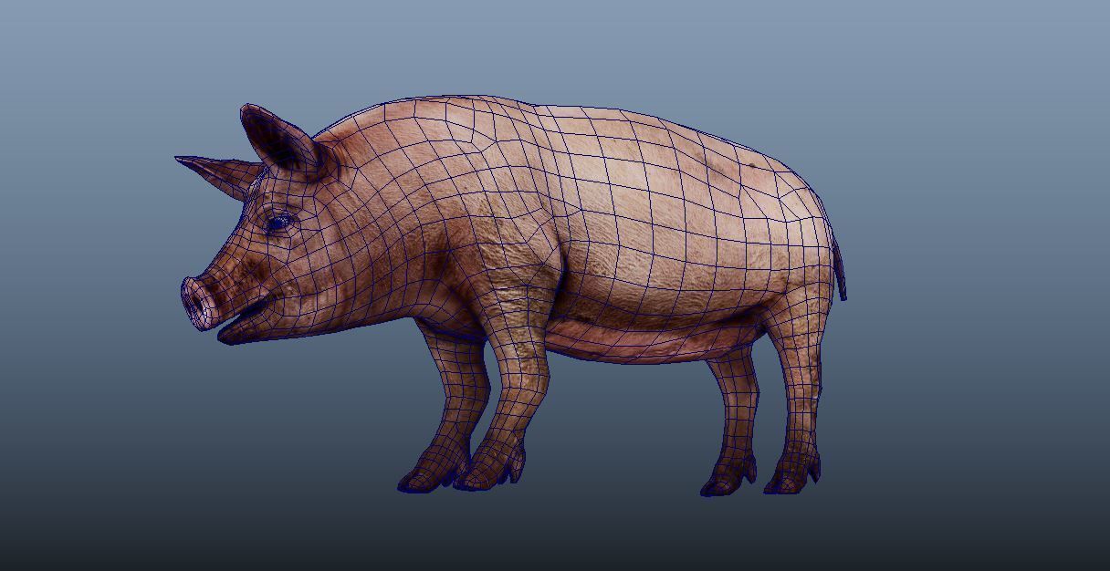 Pig Animated VFX Grace Low-poly 3D model_9
