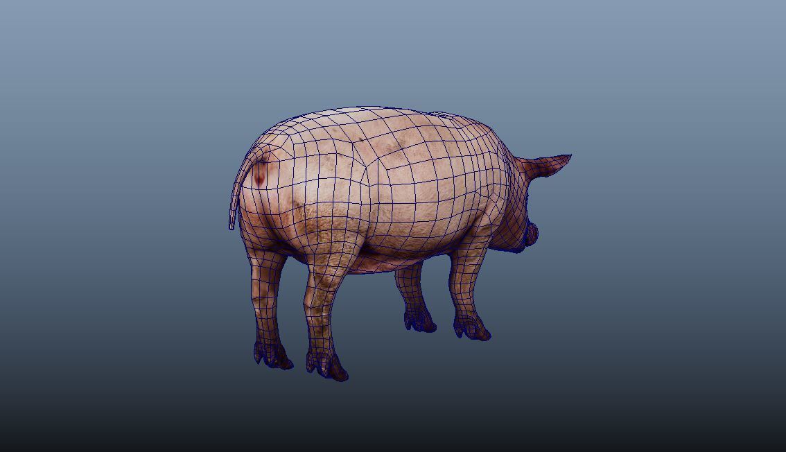 Pig Animated VFX Grace Low-poly 3D model_11