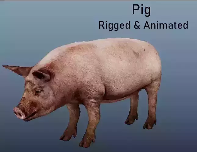 Pig Animated VFX Grace Low-poly 3D model