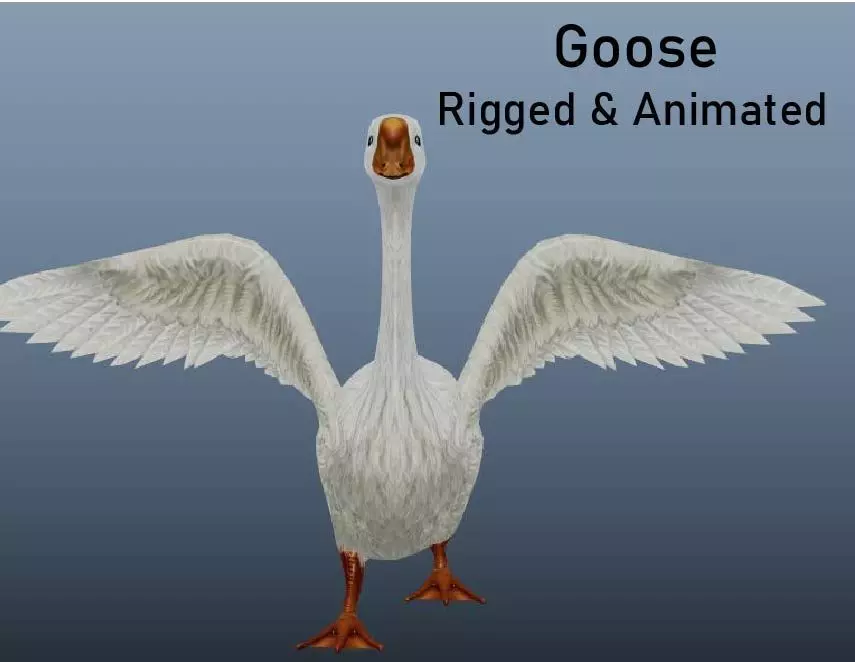 Goose Animated VFX Grace Low-poly 3D model