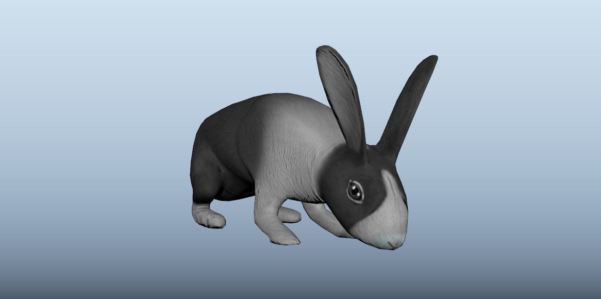 Rabbit Animated VFX Grace Low-poly 3D model_7