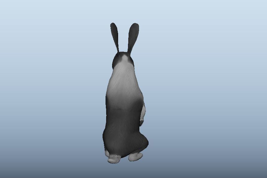 Rabbit Animated VFX Grace Low-poly 3D model_5