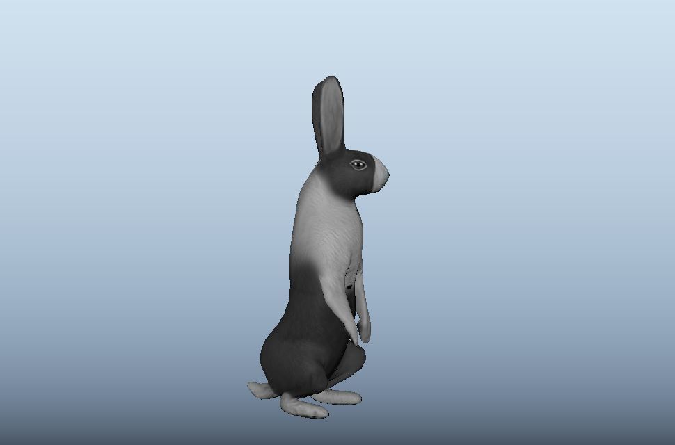 Rabbit Animated VFX Grace Low-poly 3D model_12