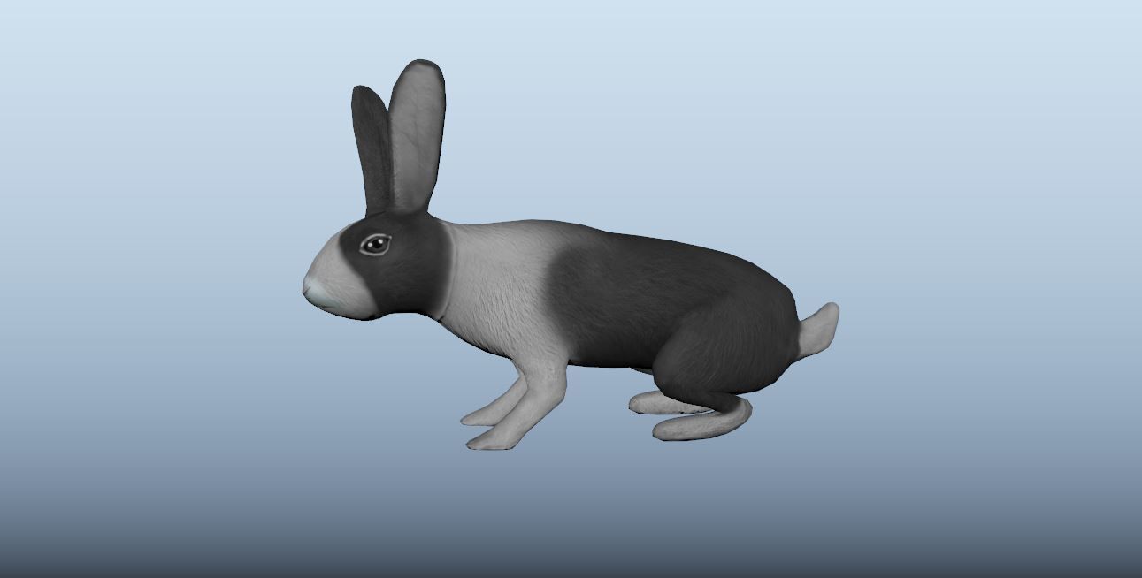 Rabbit Animated VFX Grace Low-poly 3D model_9