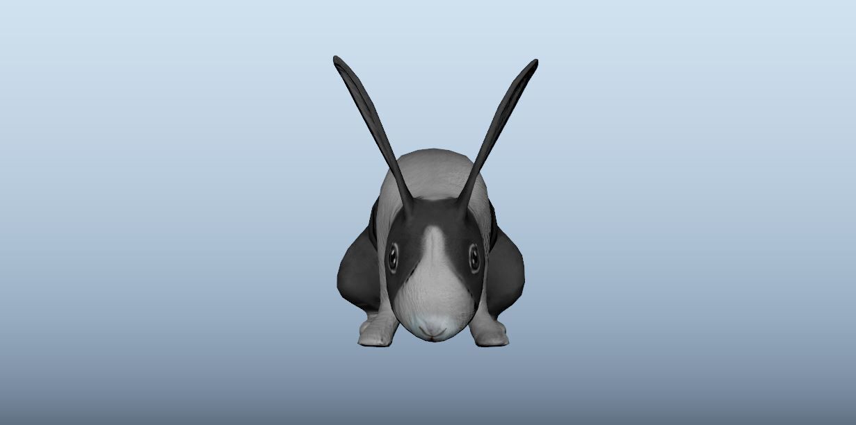 Rabbit Animated VFX Grace Low-poly 3D model_8