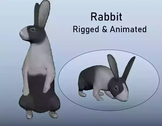 Rabbit Animated VFX Grace Low-poly 3D model