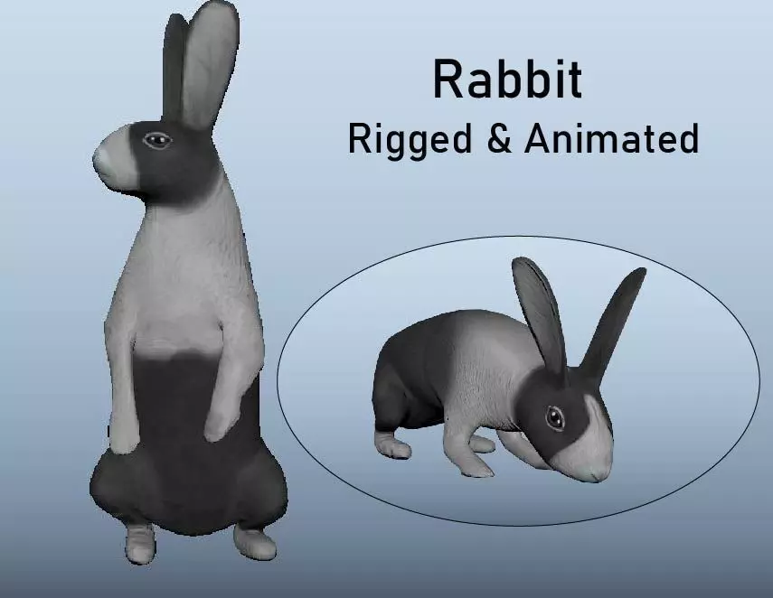Rabbit Animated VFX Grace Low-poly 3D model_0