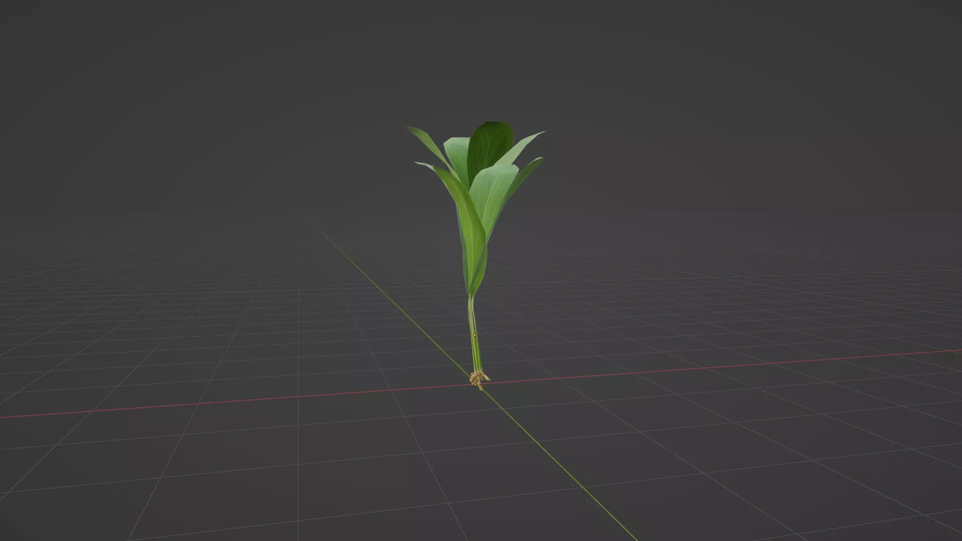 Turmeric Plant- Manjal kothu Free low-poly 3D model_0