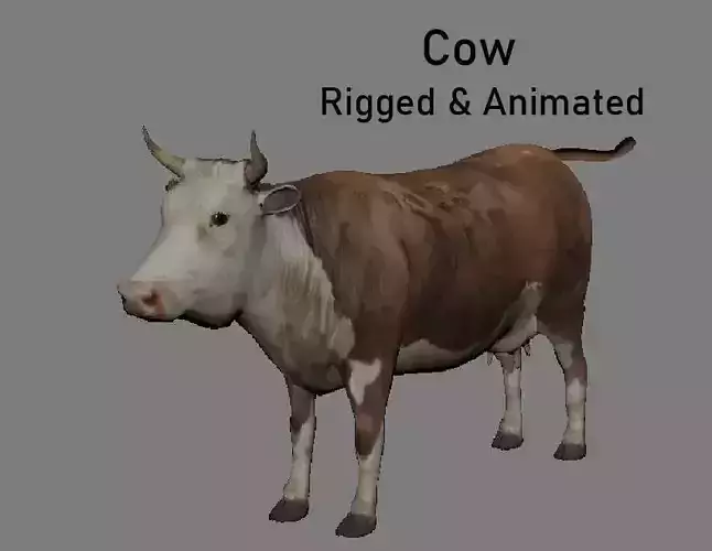 Cow Animated VFX Grace