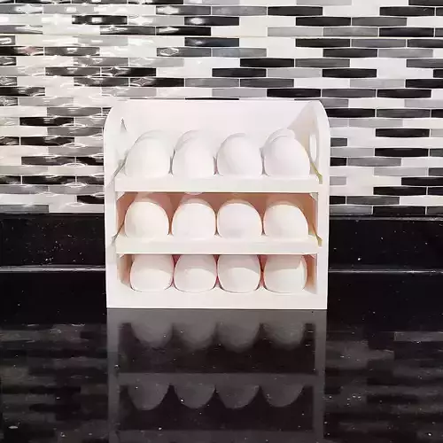 EGG HOLDER EGG STORAGE RACK REFRIGERATOR ORGANIZER BOX 3D print model