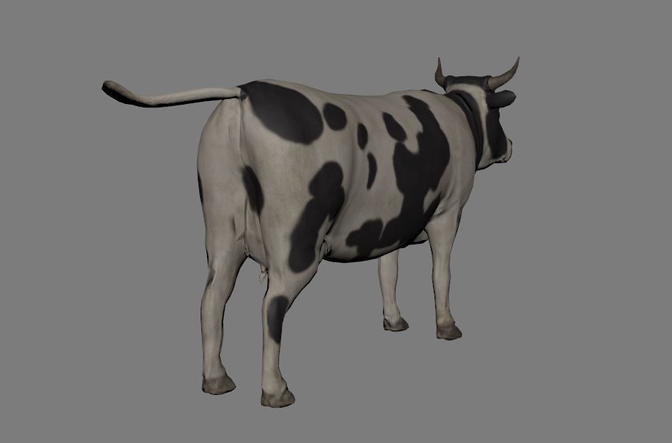 Cow Animated VFX Grace Low-poly Low-poly 3D model_7