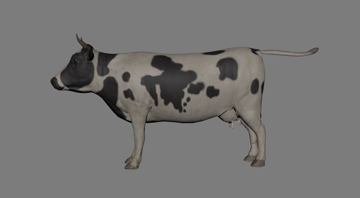 Cow Animated VFX Grace Low-poly Low-poly 3D model_4
