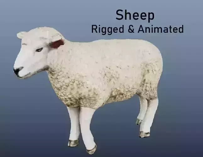 Sheep Animated VFX Grace Low-poly 3D model