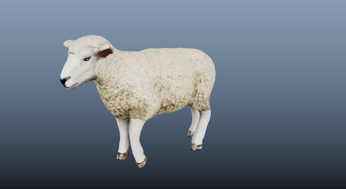 Sheep Animated VFX Grace Low-poly 3D model_3