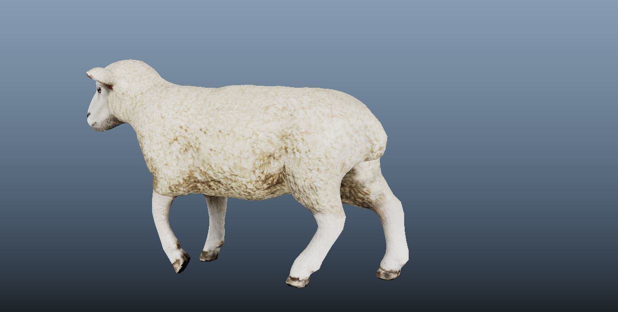 Sheep Animated VFX Grace Low-poly 3D model_2