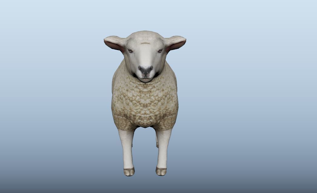 Sheep Animated VFX Grace Low-poly 3D model_4