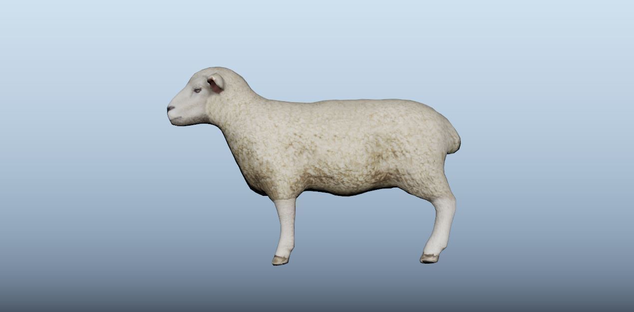 Sheep Animated VFX Grace Low-poly 3D model_6