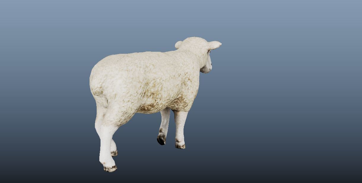 Sheep Animated VFX Grace Low-poly 3D model_5