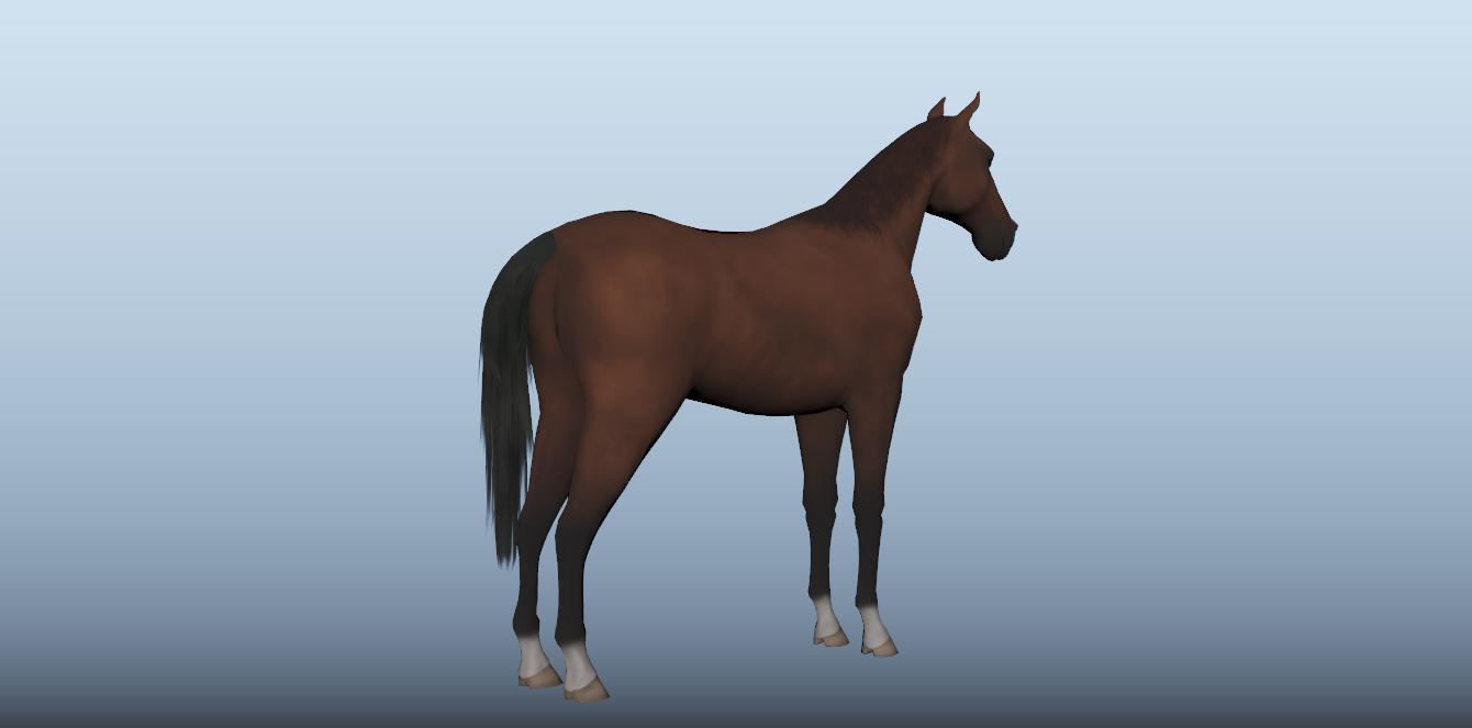 Horse Animated VFX Grace Low-poly 3D model_8