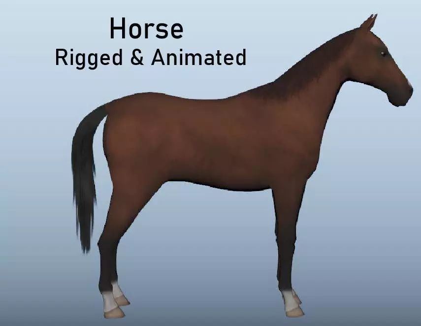 Horse Animated VFX Grace Low-poly 3D model_0