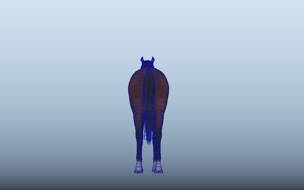 Horse Animated VFX Grace Low-poly 3D model_11