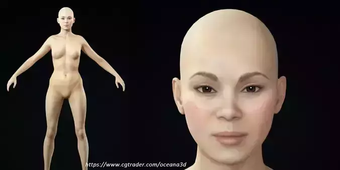 Realistic Asian Woman Base Model 3D model
