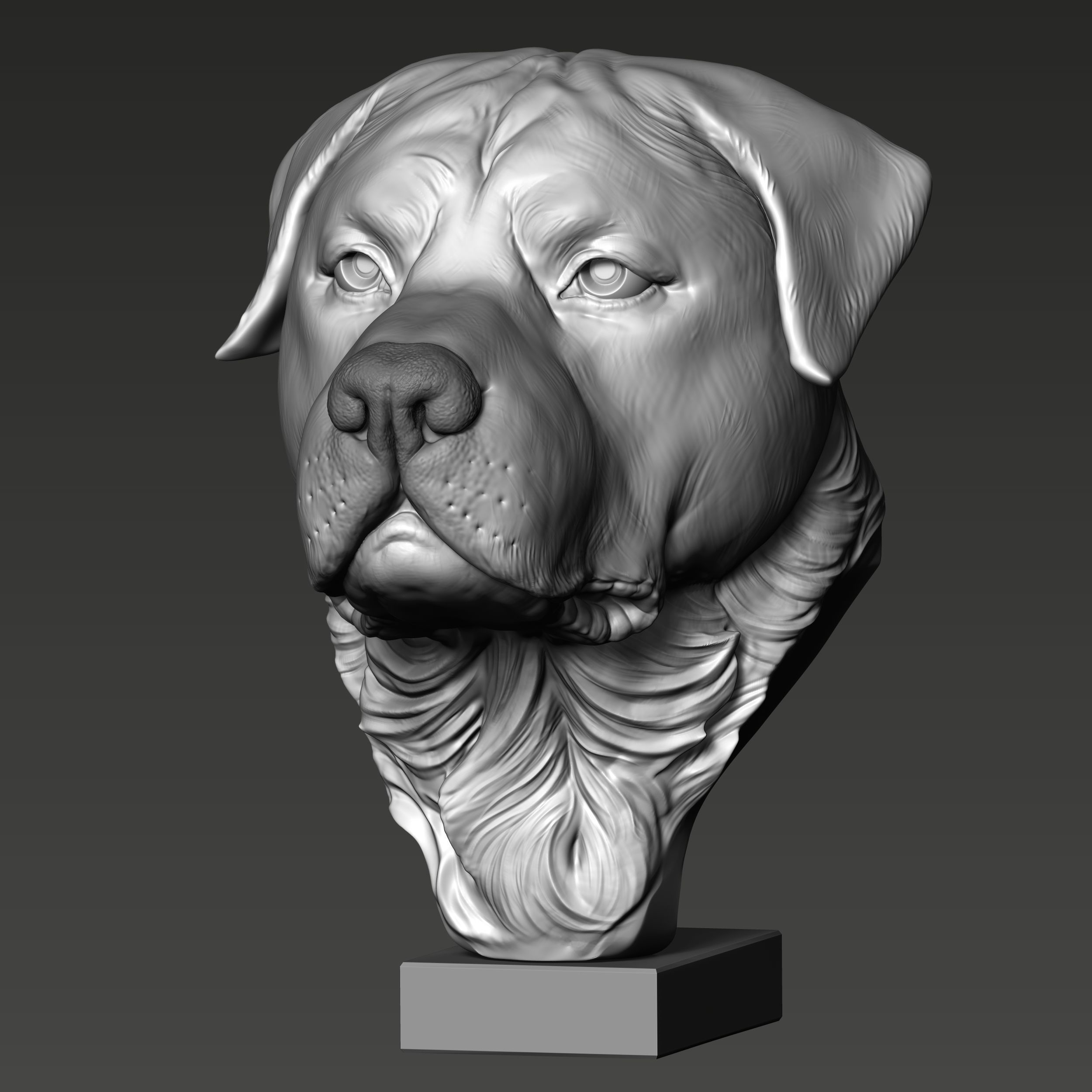 Rottweiler Head Sculpture 3D print model_2