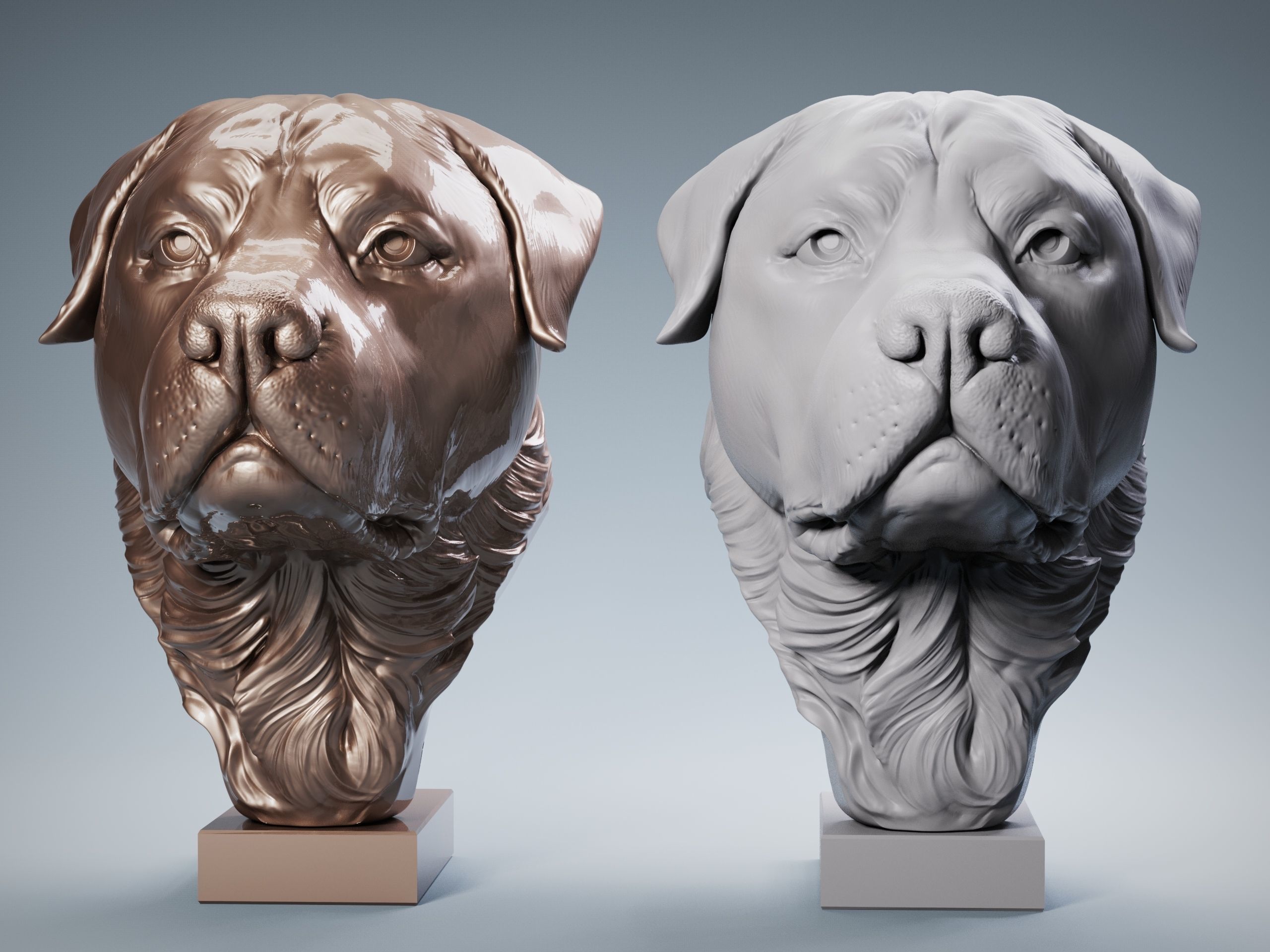 Rottweiler Head Sculpture 3D print model_1