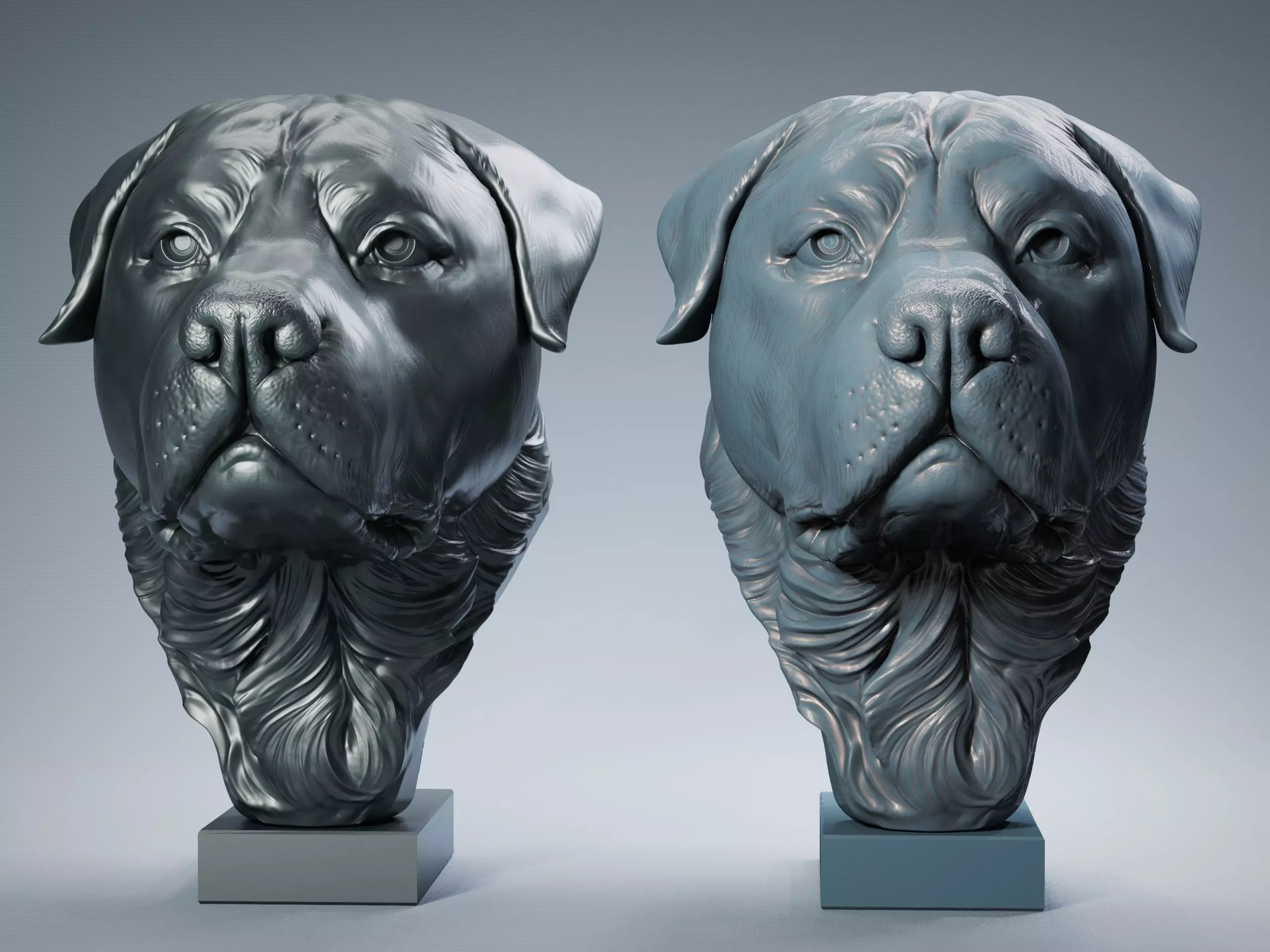 Rottweiler Head Sculpture 3D print model_0