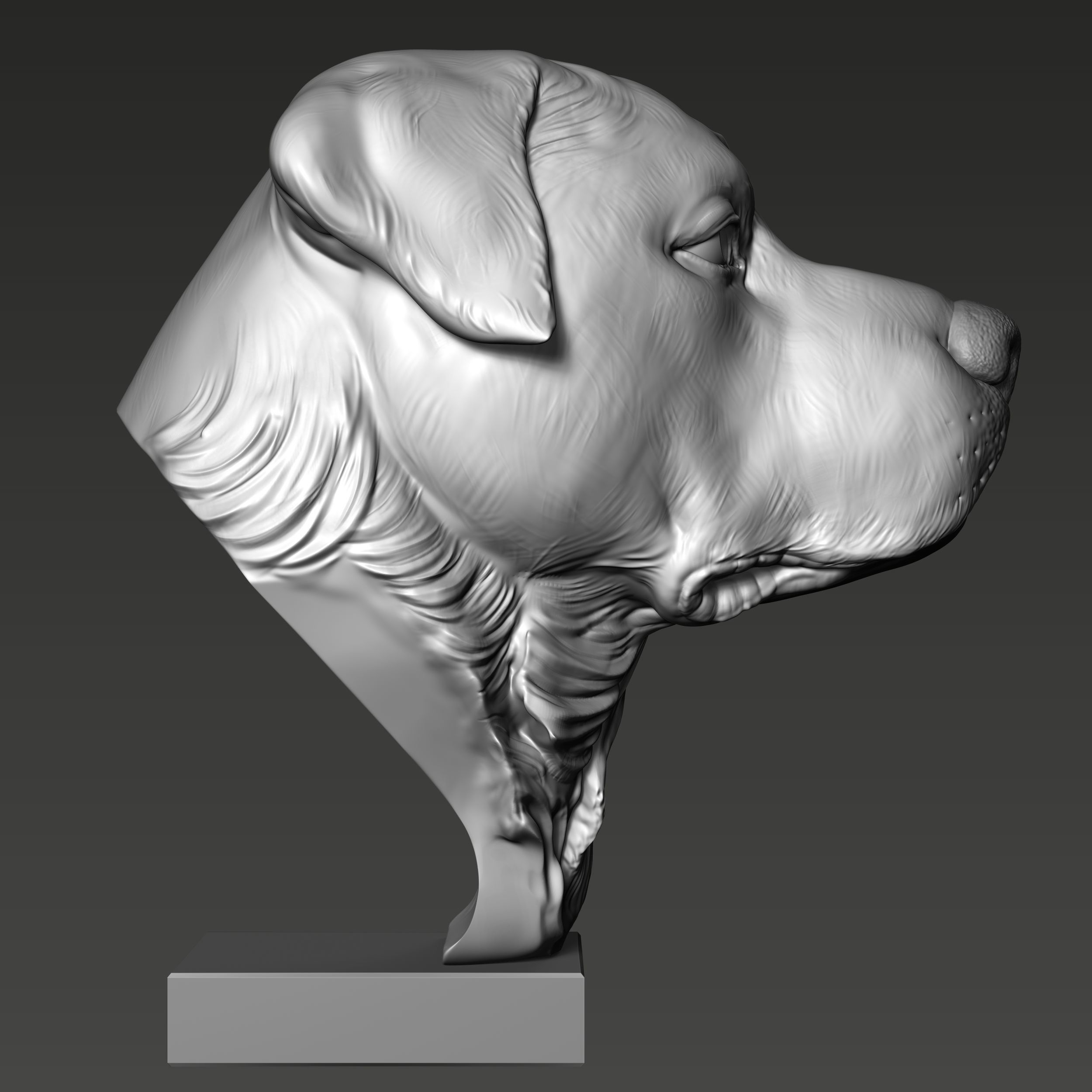 Rottweiler Head Sculpture 3D print model_4