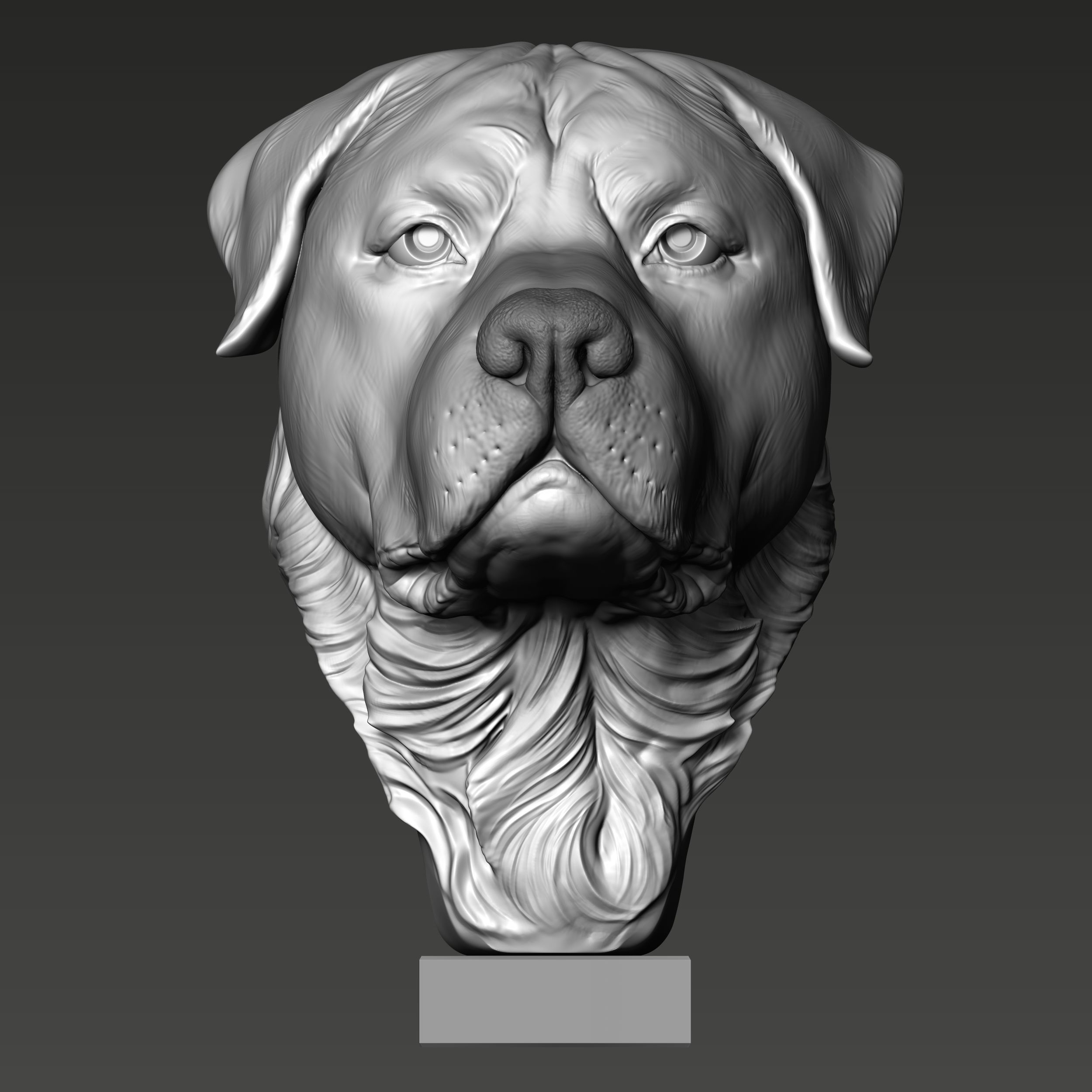 Rottweiler Head Sculpture 3D print model_3
