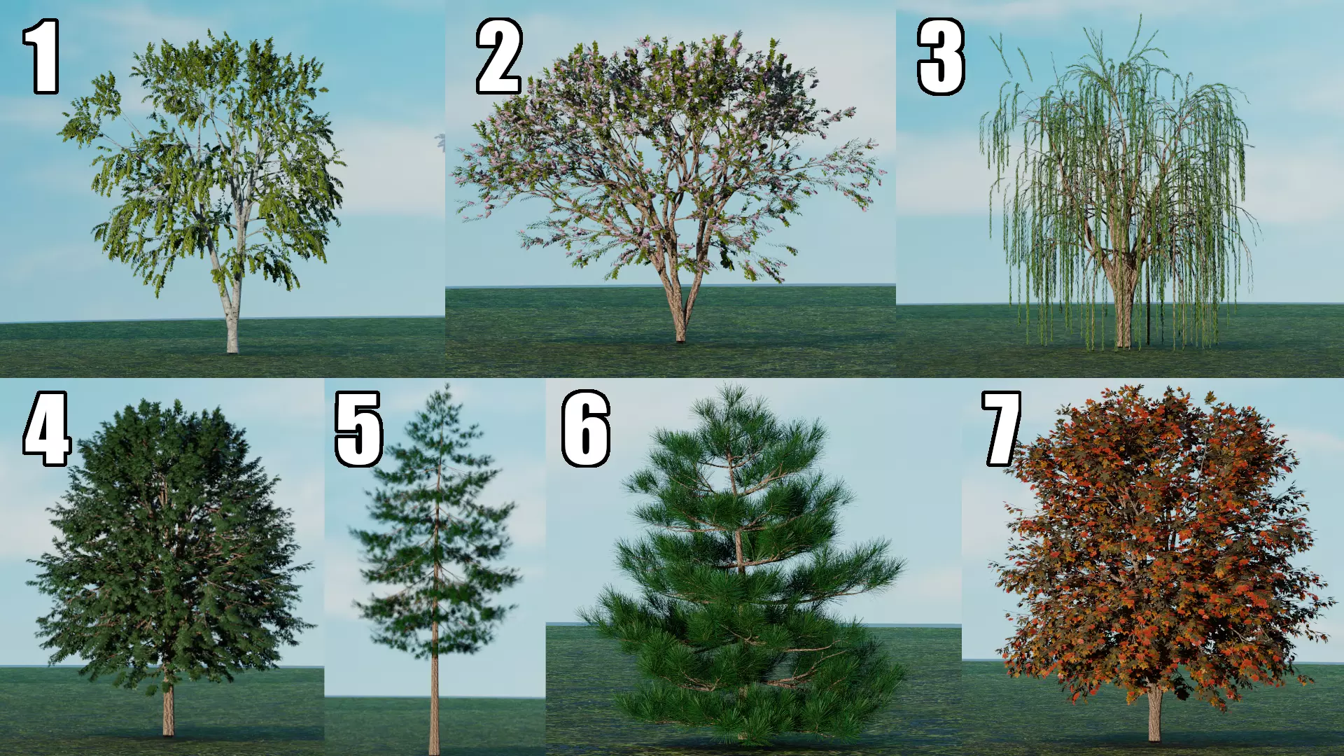 Realistic Tree Pack I Detailed Trees Free 3D model