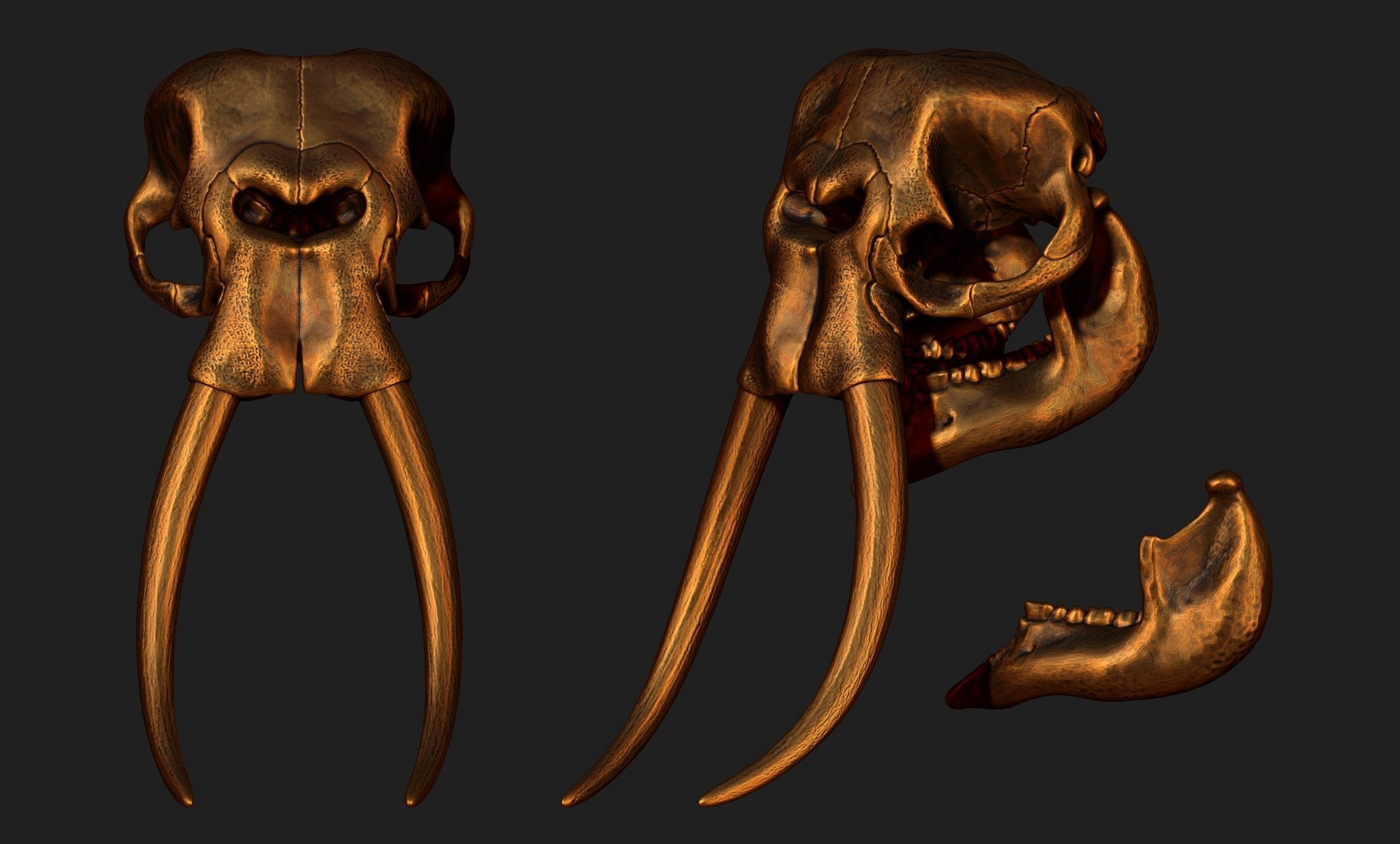 African Elephant Skull - Loxodonta Africana - CNC and 3D print model_20