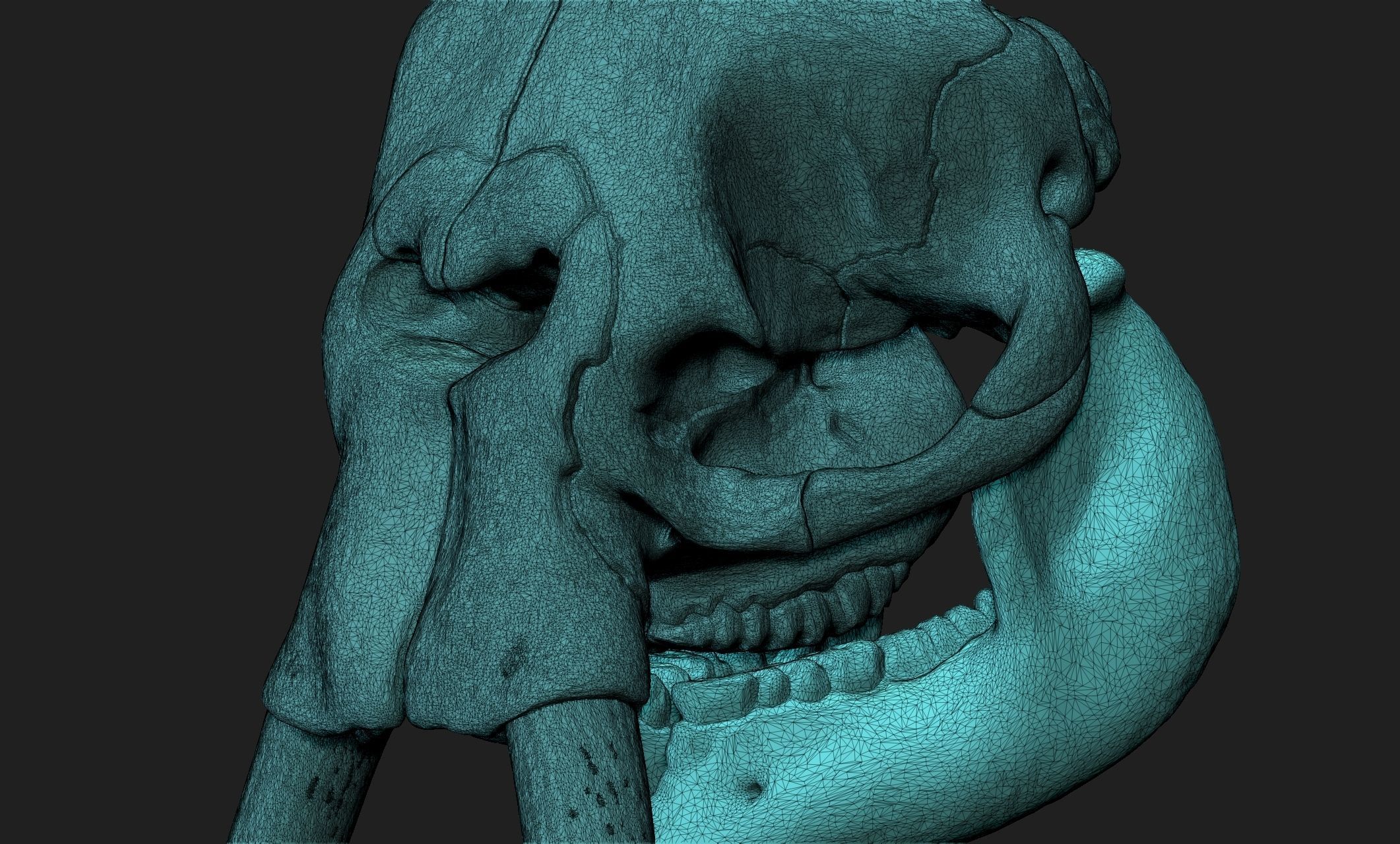 African Elephant Skull - Loxodonta Africana - CNC and 3D print model_4