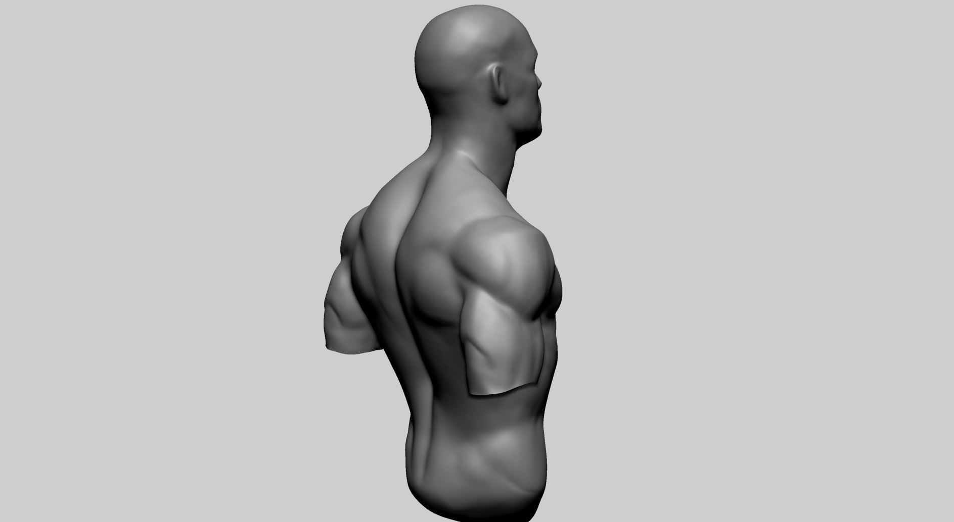 Male Upper Body A 3D model_2