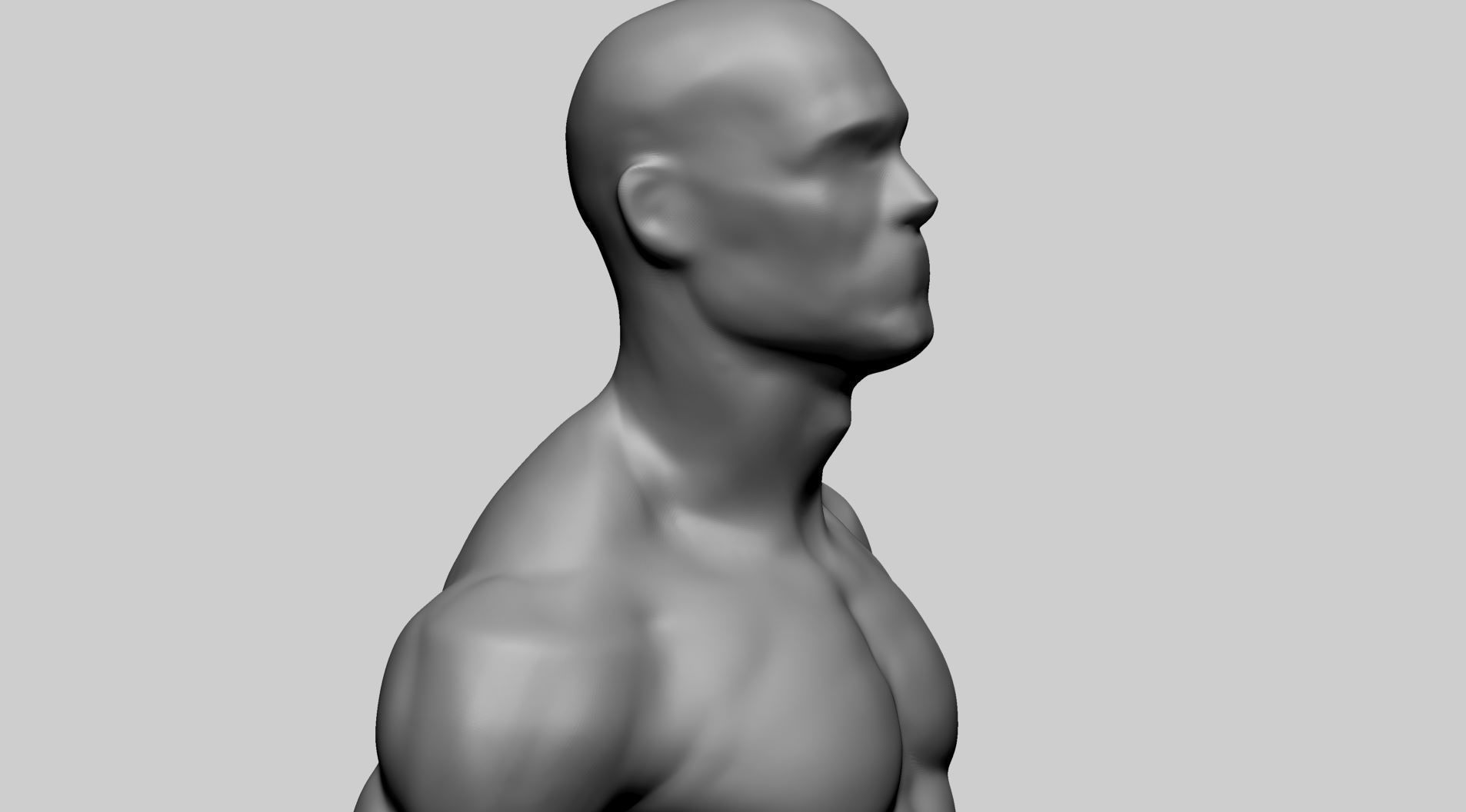 Male Upper Body A 3D model_8