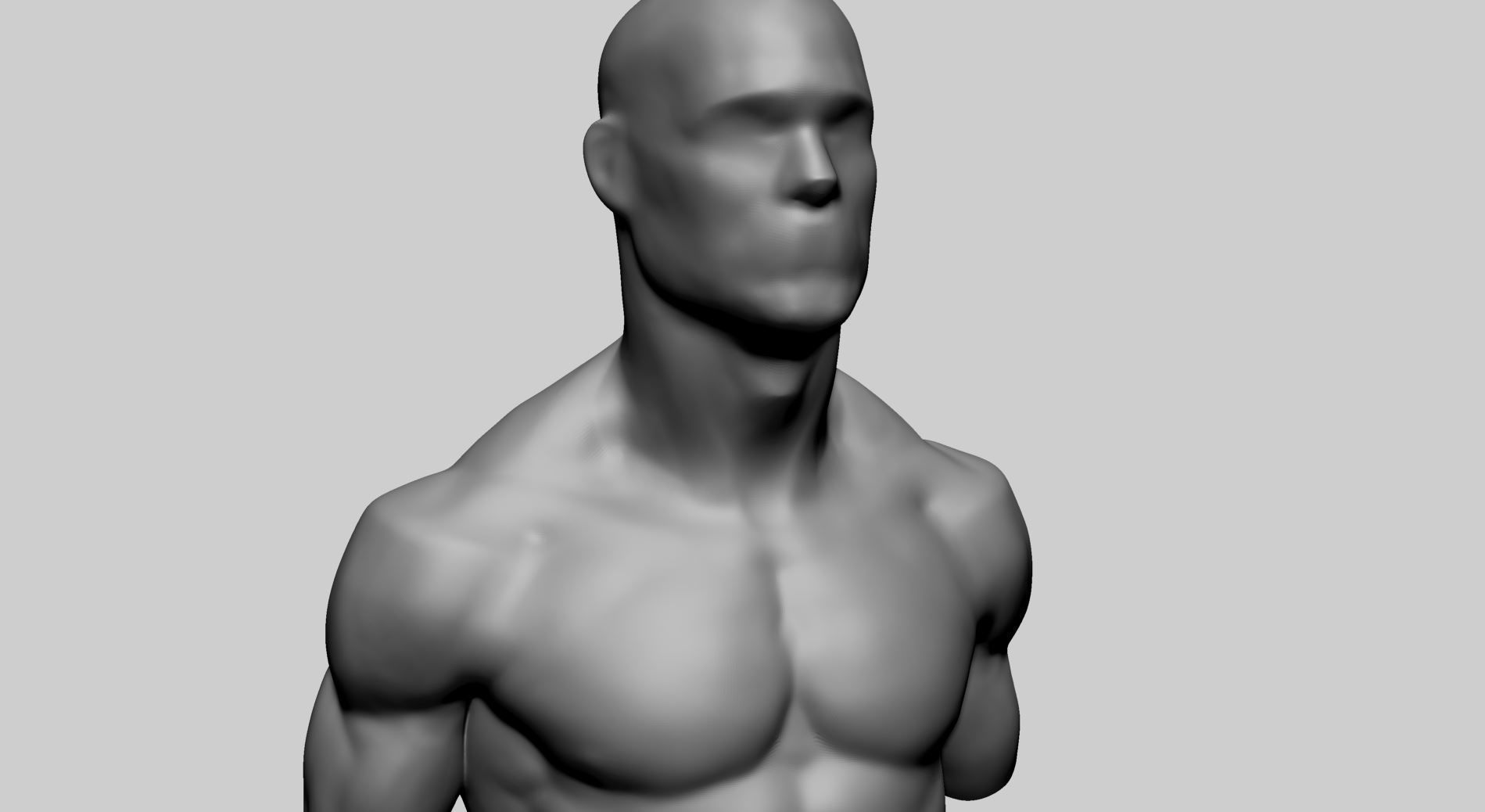 Male Upper Body A 3D model_7