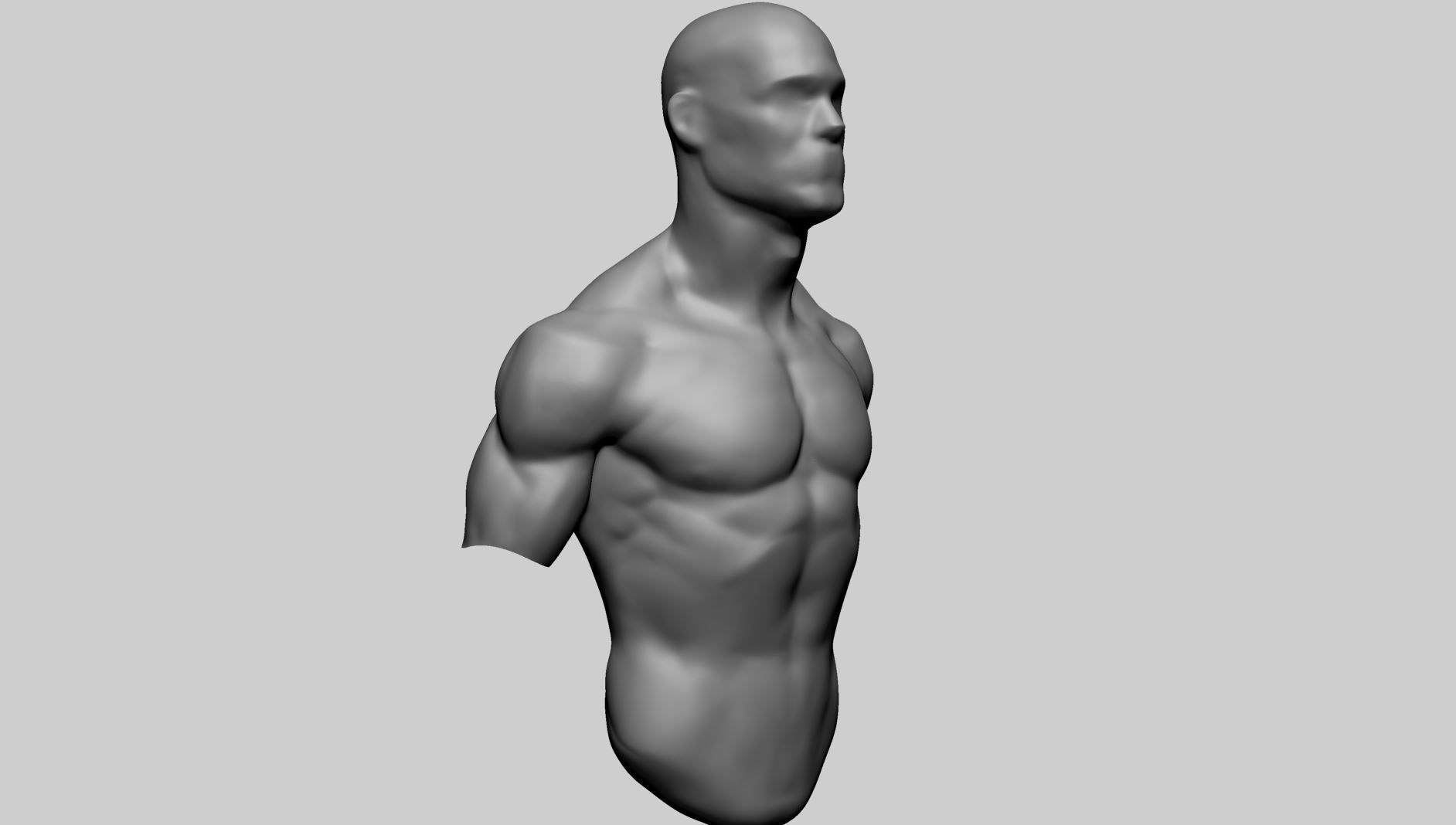 Male Upper Body A 3D model_1