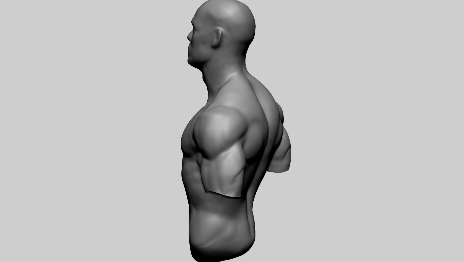 Male Upper Body A 3D model_4