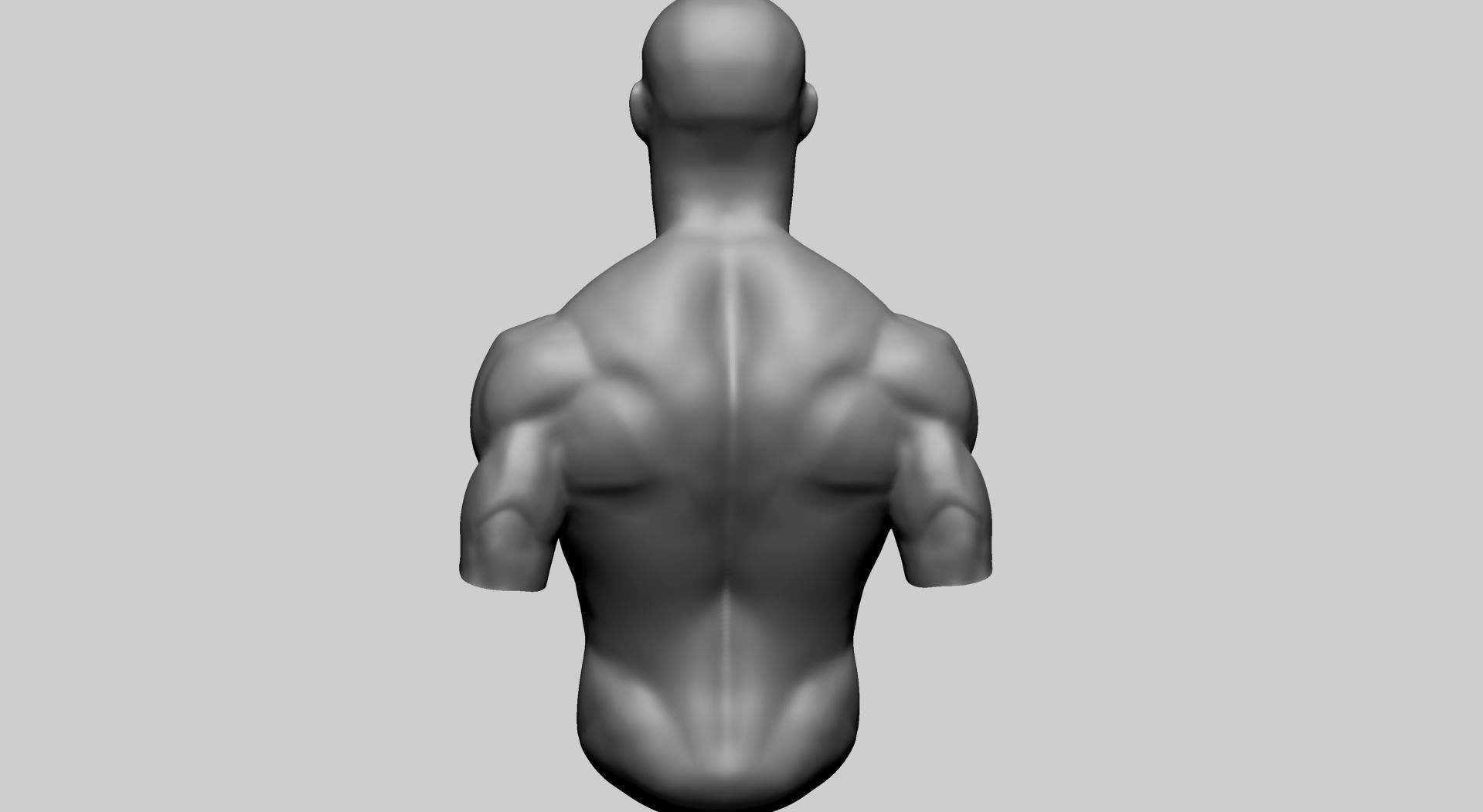 Male Upper Body A 3D model_3