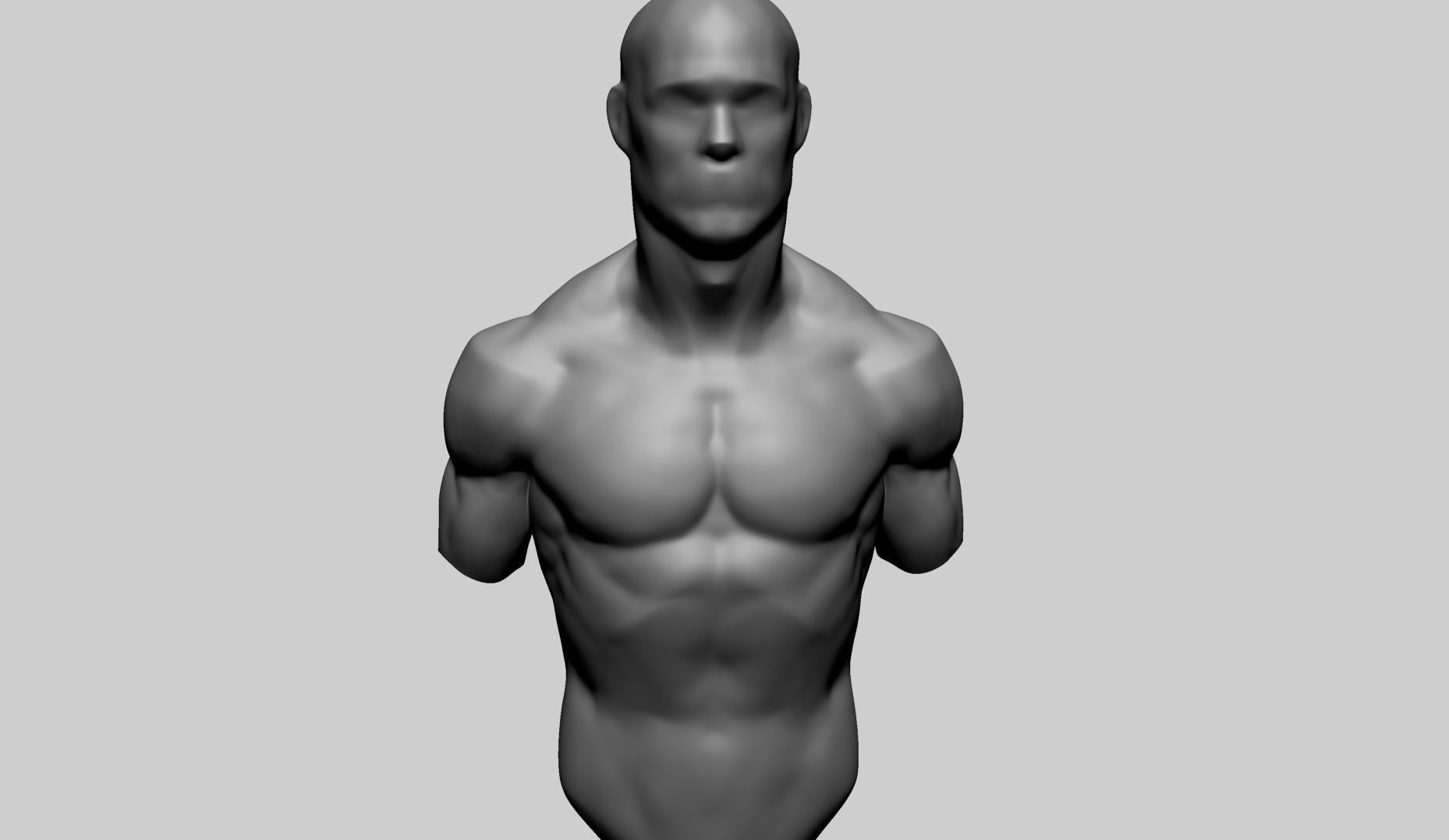 Male Upper Body A 3D model_6