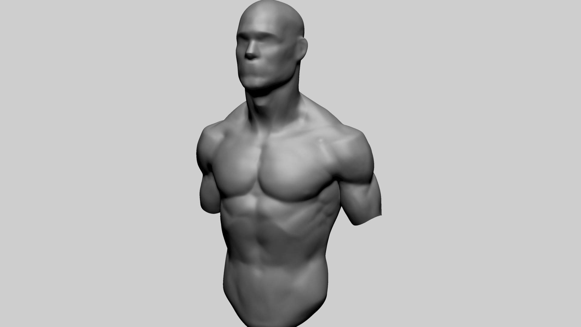 Male Upper Body A 3D model_5