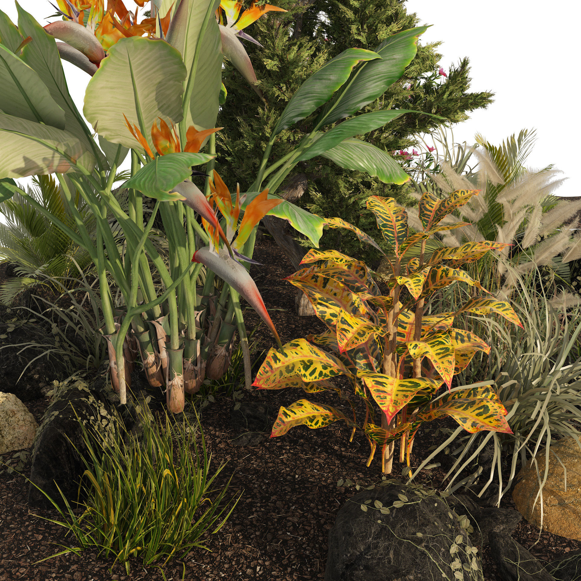 Garden Plant set Low-poly 3D model_4