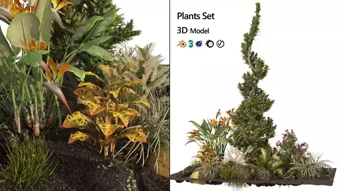 Garden Plant set Low-poly 3D model