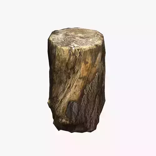 Wood Log