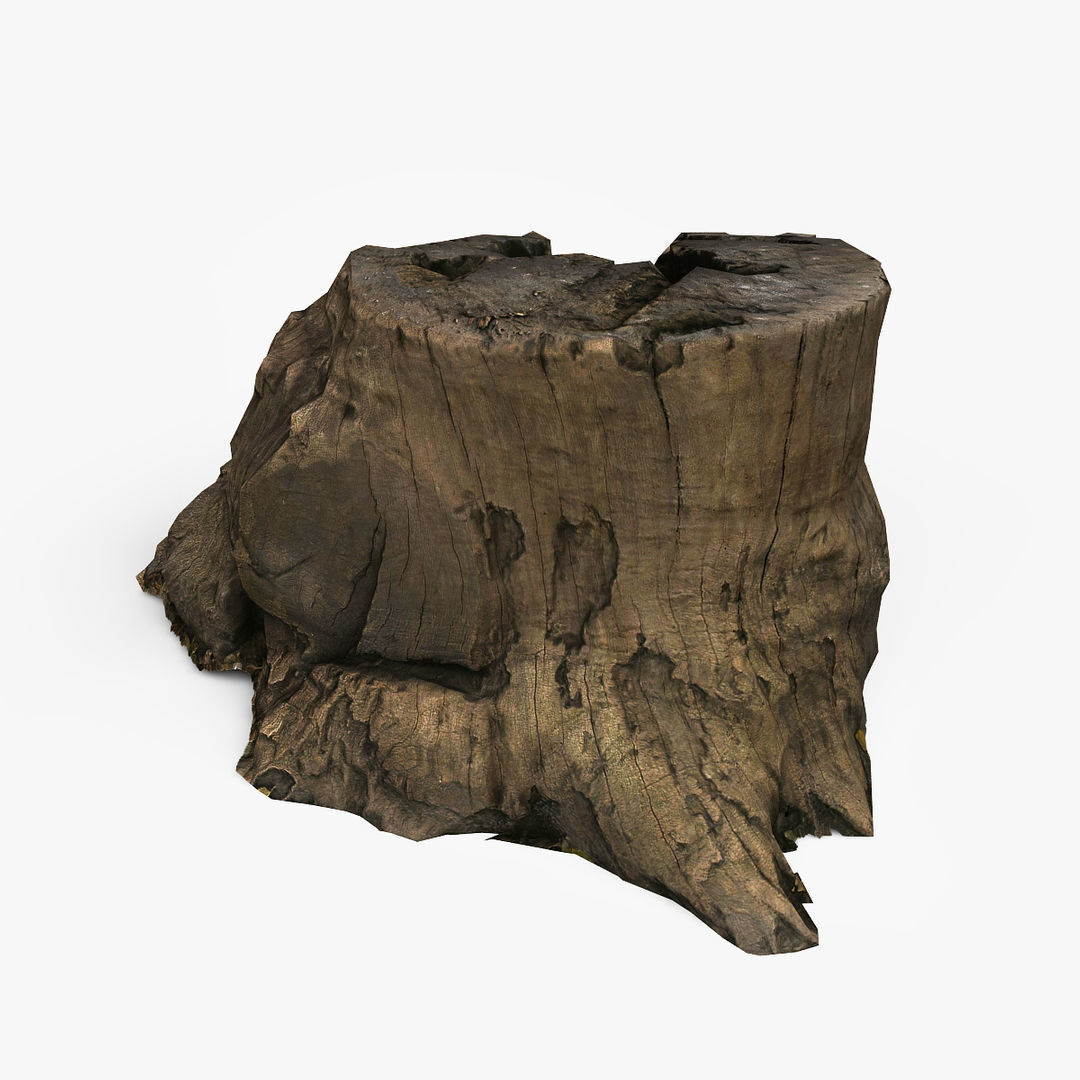 Tree Stump Low-poly 3D model_3