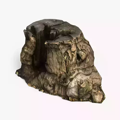 Tree Stump
