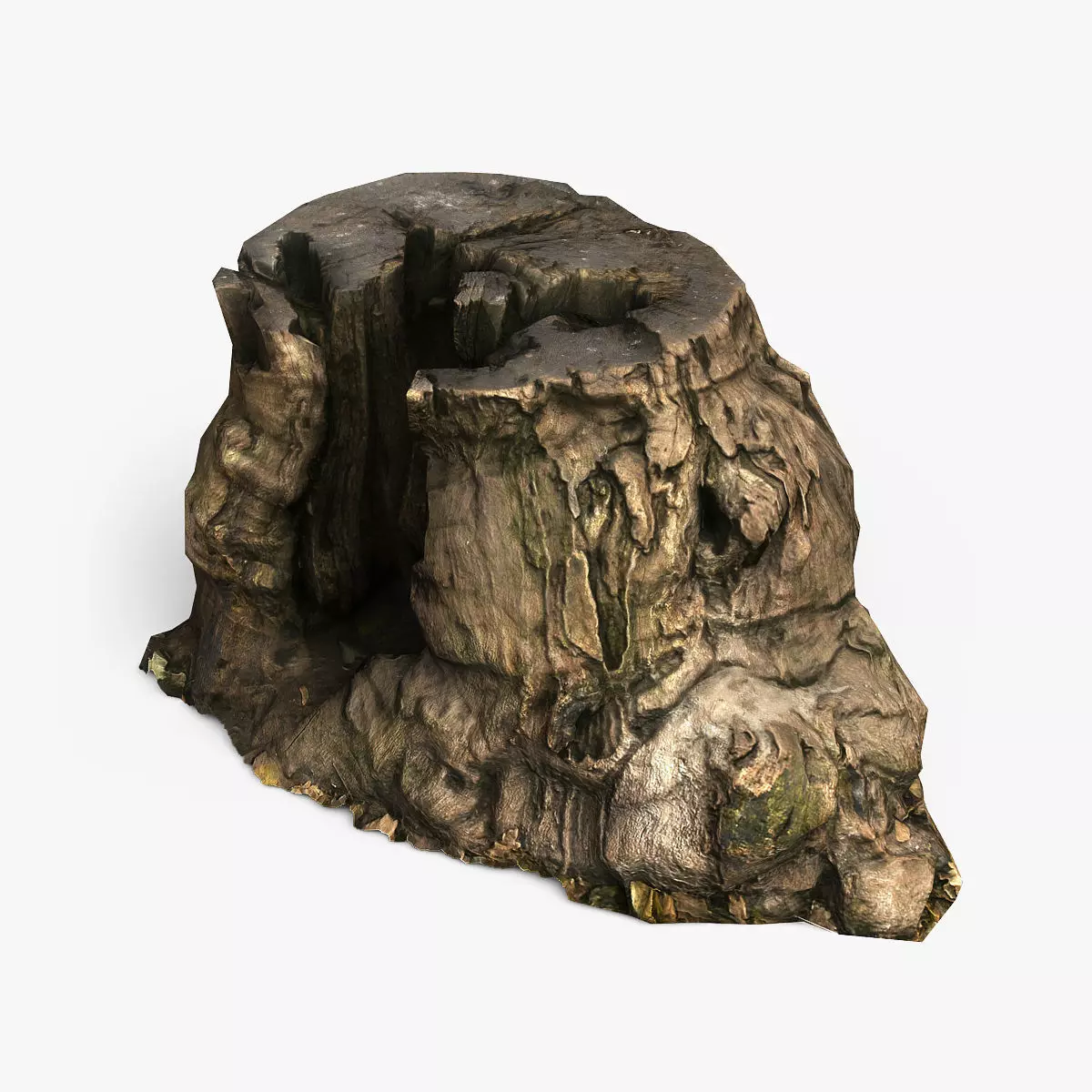 Tree Stump Low-poly 3D model_0